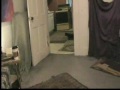 Fitzy the Fabulous Fetching Feline