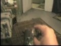 Fitzy the Fabulous Fetching Feline