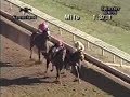 1995 Spinster Stakes1995 Spinster Stakes<media:title />
   