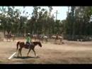  horse show-2008