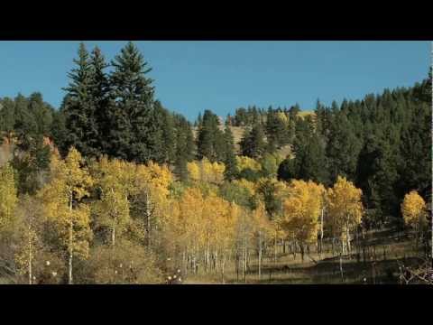 Golden Gate Canyon State Park Fall Colors