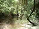 Trilha Serra do cip� - Vulpes MTB