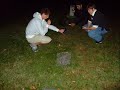evp evp