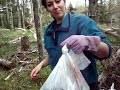 Click here to watch this video New Arrivals On The Body Farm