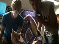 Killing the King of All Wasps