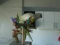 Lola`s bathing