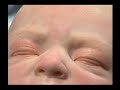Click here to watch this video Special Reborn Technique Encyclopedia Part 1