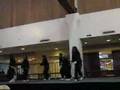our allowance performs for safety harbor kids