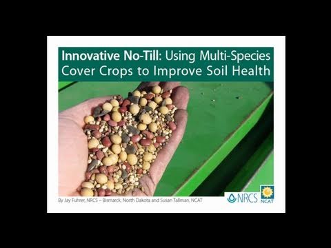how to improve health