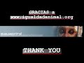 Igualdad Animal: Abolición Colgados del Balcón de las Ventas