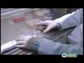 ANDALUC�A INNOVA - C�RNEAS ARTIFICIALES