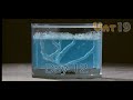 antworks-illuminated-ant-farm-gel.html