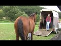 Viking [011] st?hov�n�