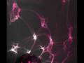 videos de I want you (stellar Project)
