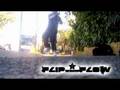 Flip2Flow - Still D.R.E.