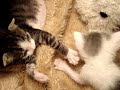 Fleur and Albert