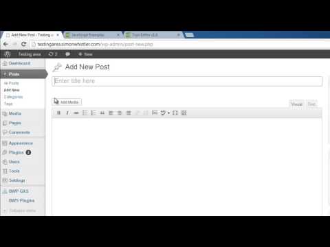 how to javascript wordpress