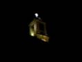 videos de Mali galago.