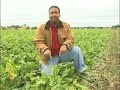 Louisiana Farm Bureau: Michigan Sugar Beet-AJ Sabine Louisiana Farm Bureau: Michigan Sugar Beet-AJ Sabine