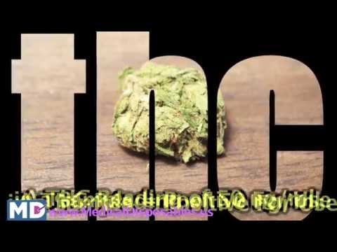 how to get weed out of your system