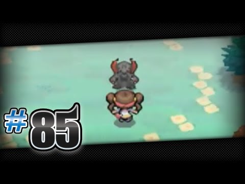 pokemon black pokemon black