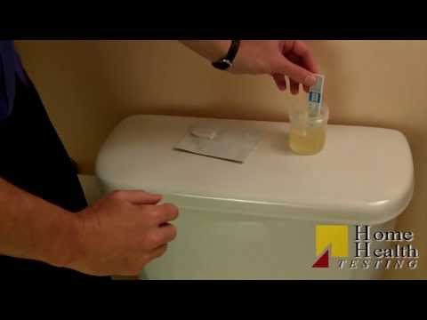 how to pass a 15 ng drug test
