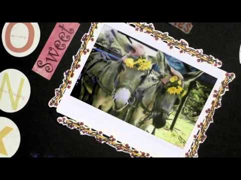 Andriëtte Norman – Dink Aan My (AMPTELIKE MUSIEK VIDEO)