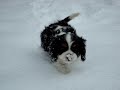Winter gets a taste of winter.