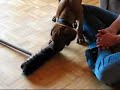 Ridgeback puppy playing