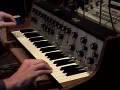 Steiner Parker Synthacon (with RC-20 Loop Station) live 2