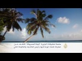 الجزيرة تكشف الفساد في "الجنة المسروقة" -Views : 1