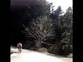 Un pic de downhill spre Varatec