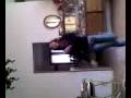 videos de Chaa