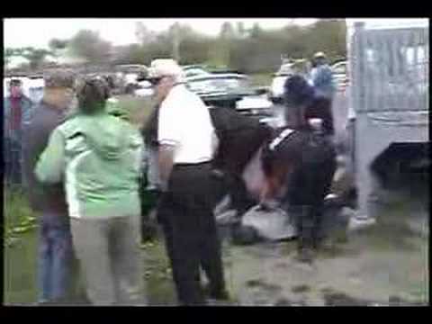 Bathurst City Police new brunswick ...