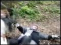 Der offizielle Trailer zu Der Kelch