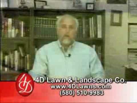 how to use 2 4-d in lawn care