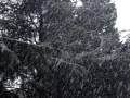 Adrogué - invierno