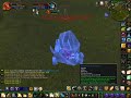 WoW: Raymon Paladin Holy lvl 70 PvP GPLP