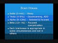 Brain Music Therapy Pt. 3 Brain Music Therapy Pt. 3