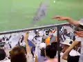 Chiba Marines fans - flags