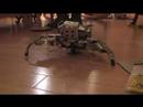 tribottest04 tribottest04