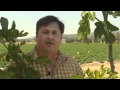 Meet A California Farmer Who Blogs! 