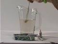 XoomaCREW.com presents: Xooma Worldwide X2O pH Balancer
