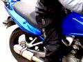 bandit s