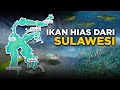 Ikan Hias Endemik Kepulauan Luwuk