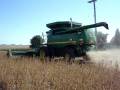 videos de Soybean Harvesting - Iowa(USA)2008/Colhendo Soja - Iowa(EUA)