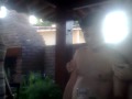 NENÉM BOY INDIGNADO COM TOHW PELA EXPULSÃO DOS SKOLTEIROS.mp4
