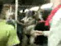 que bote el metro