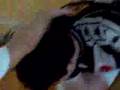 Koenma with Pain
