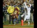 Texas Longhorn Trib....
